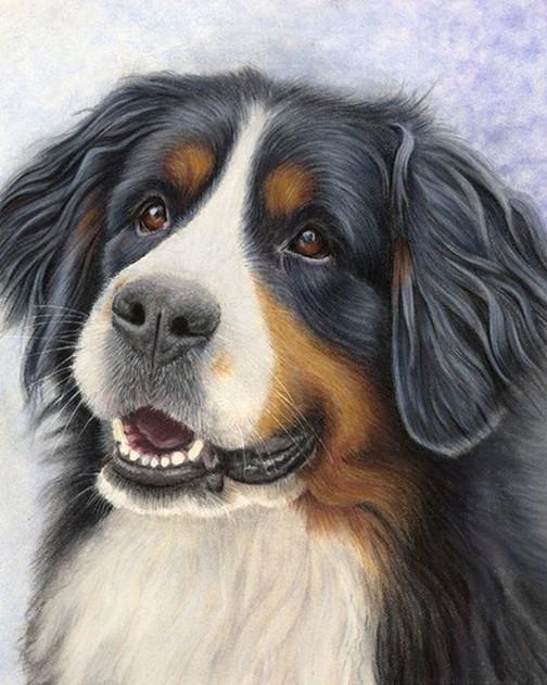 Diamond Painting / Diamantmålning - 30x40cm - Berner Sennen