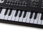 Elektronisk orgel - 61 tangenter med mikrofon