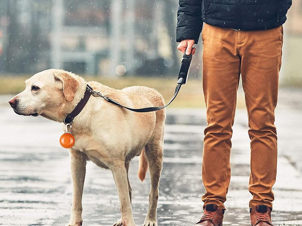 Lyst hængende LED halsbåndslys til hund/kat