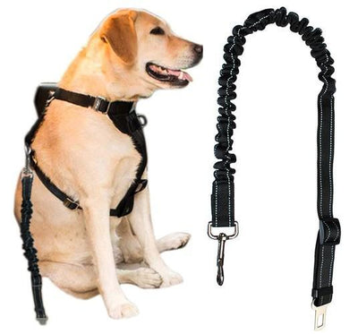 Sikkerhedssele til hund i bilen